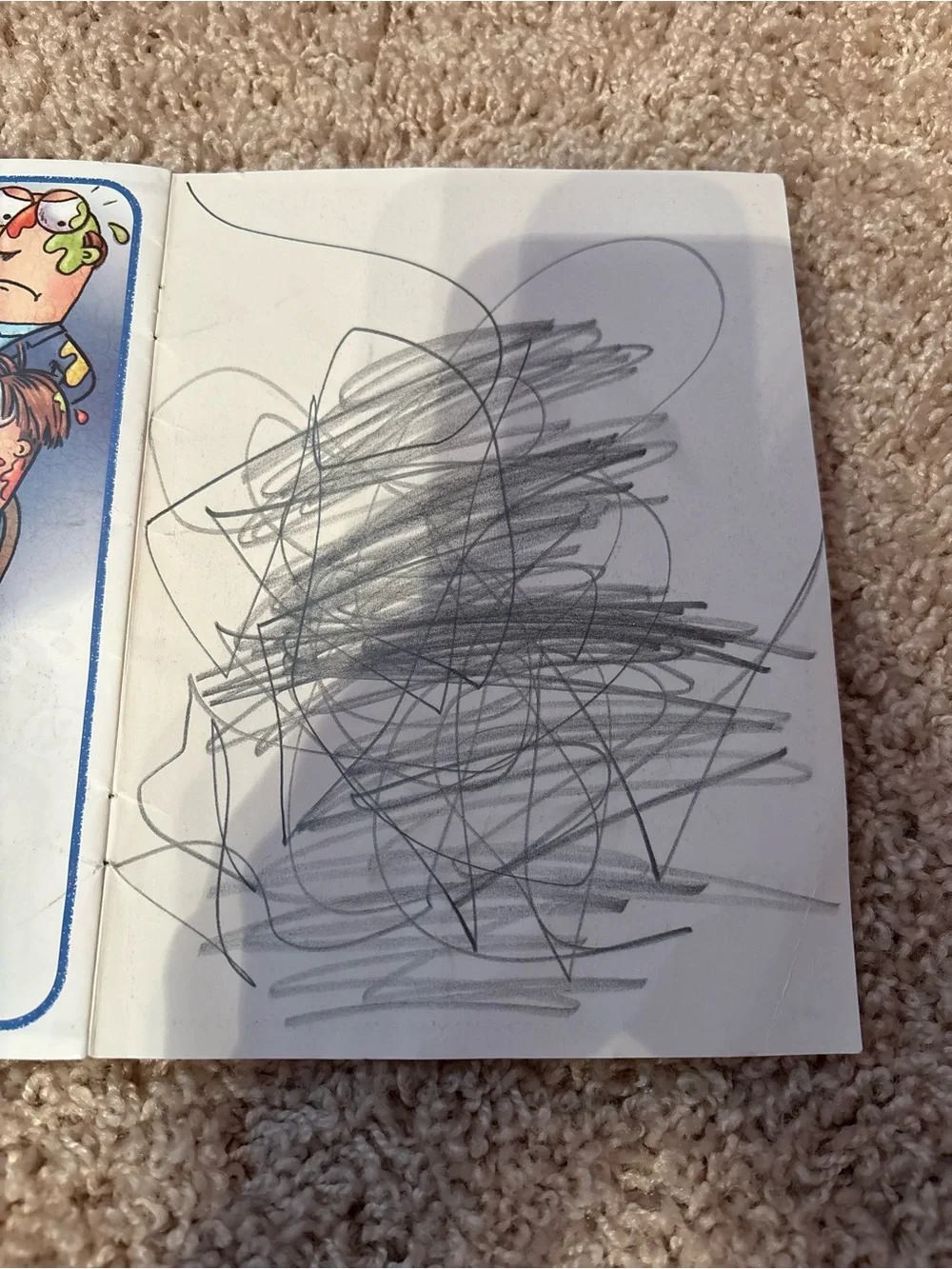 Fly Guy Phonics Scholastic Kids Book by Tedd Arnold